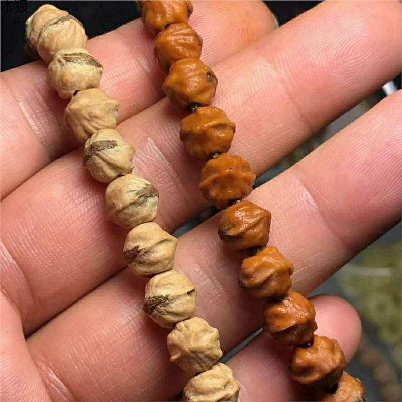 Vintage Collectible Market - برعم أحمر تهتز ساخن قذر مع