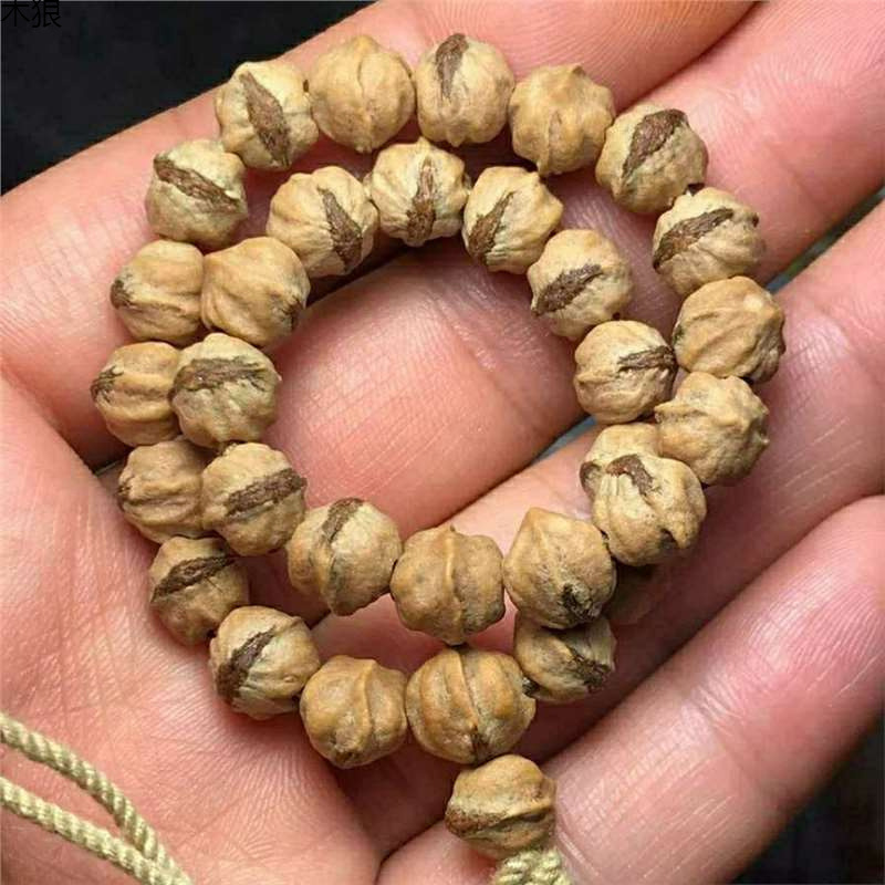 برعم أحمر تهتز ساخن قذر مع بوذ - مراجعة Vintage Collectible Market وسعره