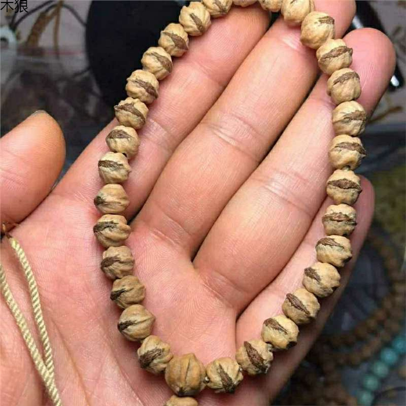 برعم أحمر تهتز ساخن قذر مع بوذ - مراجعة Vintage Collectible Market وسعره
