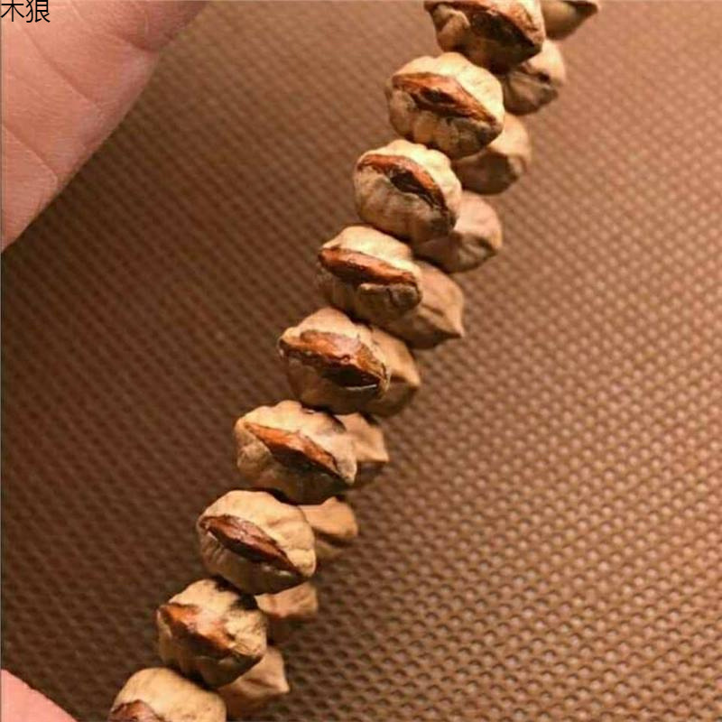 برعم أحمر تهتز ساخن قذر مع بوذ - مراجعة Vintage Collectible Market وسعره